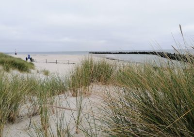 Dünenlandschaft auf Helgoland, Blick durch Dünengras auf die Nordsee