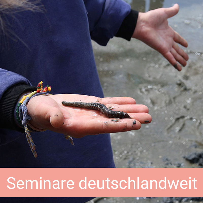 Bildungsurlaubsprogramm Naturschutz: Frau hält Wattwurm in ihrer Hand