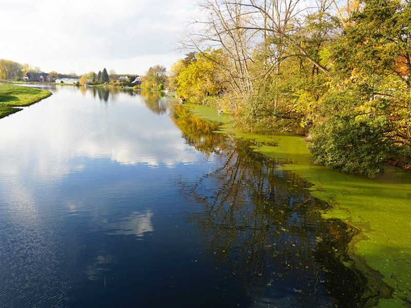 Elbe mit Uferbegrünung in Hamburg-Allermöhe